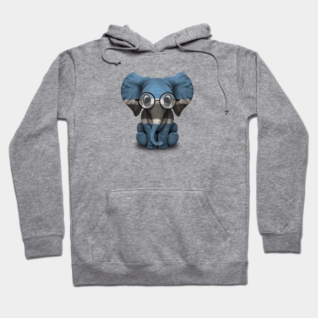 Baby Elephant with Glasses and Botswana Flag Hoodie by jeffbartels
